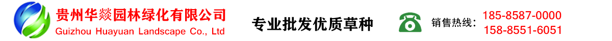 怎么联系老街(微-77728415)腾龙娱乐游戏有限公司(开户上分)